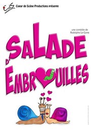 Salade d'embrouilles Le Violon dingue Affiche