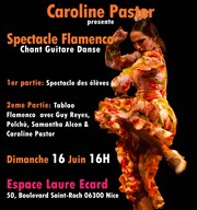Spectacle Flamenco Salle Laure Ecard Affiche