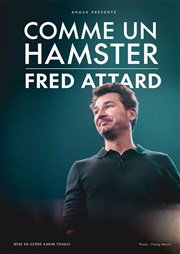 Fred Attard dans Comme un hamster Thtre BO Saint Martin Affiche