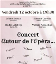 Concert lyrique Espace Léopold Bellan Affiche