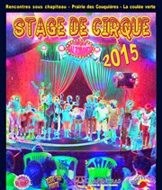 Stage de cirque Chapiteau Cirque Saltobanco Affiche