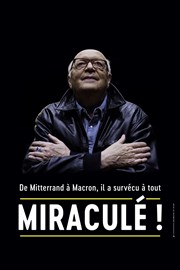 Bernard Mabille dans Miraculé ! Pyramide Espace Franois 1er Affiche