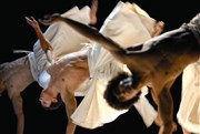 Spectacle Hip hop Capoeira : Ce que le jour doit à la nuit Salle du Cratre Affiche