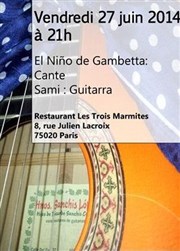 El Niño de Gambetta | Concert de Flamenco Les trois marmites Affiche