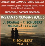 Instants romantiques Grand amphithtre Henri Cartan du Campus d'Orsay Affiche