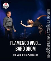 Flamenco vivo... Baró Drom Thatre du Chne Noir - Salle John Coltrane Affiche