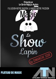 Le Show Lapin L'ATN Affiche