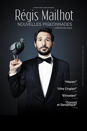 Régis Mailhot dans Nouvelles Pigeonnades La Compagnie du Caf-Thtre - Petite salle Affiche