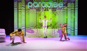 Le Paradis des Autres Cirque Electrique - La Dalle des cirques Affiche