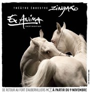 Zingaro : Ex Anima Thtre Equestre Zingaro Affiche