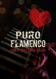 Puro Flamenco Au Chat Noir Affiche