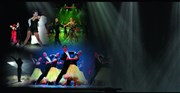 Les plus belles danses du monde Thtre Armande Bjart Affiche