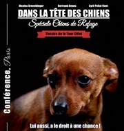 Conférence : Dans la tête des chiens | Spéciale chiens de refuge Thtre de la Tour Eiffel Affiche