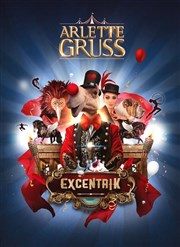 Cirque Arlette Gruss : ExcentriK | Reims Chapiteau Arlette Gruss  Reims Affiche