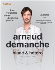 Arnaud Demanche dans Blanc et Hétéro Salle Dumas Affiche
