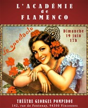 Spectacle de l'académie de flamenco Centre Culturel Georges Pompidou Affiche