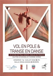 Vol en Pole & Transe en Danse Zinga Zanga Affiche