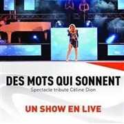 Des mots qui sonnent Tribute Céline Dion Salle Simone Signoret Affiche