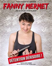 Fanny Mermet dans Détention dérisoire Chez les Fous Affiche