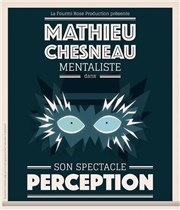Mathieu Chesneau dans Perception La Bote  rire Lille Affiche