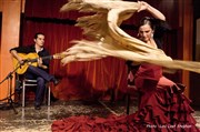 Spectacle de Flamenco Le Conntable Affiche