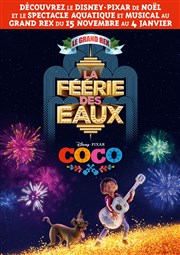 Coco + La féerie des eaux Le Grand Rex Affiche