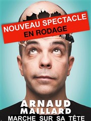 Arnaud Maillard | Nouveau spectacle en rodage La Compagnie du Caf-Thtre - Petite salle Affiche