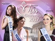 Election Miss Beauvaisis 2017 qualificative pour Miss Oise Concession Abcis Peugeot Beauvais Affiche