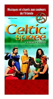 Celtic spree, l'esprit celte Cathdrale Notre-Dame Affiche
