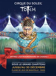 Le Cirque du Soleil dans Totem Chapiteau du Cirque du Soleil Affiche
