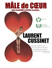 Laurent Cussinet dans Mâle de coeur Petit Palais des Glaces Affiche