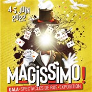 Gala international - Festival Magissimo ! Horizon Pyrénées Affiche