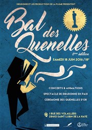 Le Bal des quenelles + Dieudonné en Paix Saint Lubin de la Haye Affiche