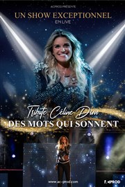 Des mots qui sonnent : Tribute Celine Dion Salle Agora Affiche