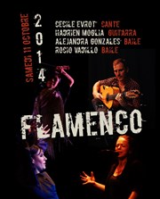 Flamenco puro Au Chat Noir Affiche