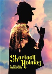 Sherlock Holmes Espace Paris Plaine Affiche