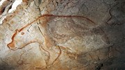 La grotte Chauvet et le culte de l'ours dans la préhistoire et l'histoire L'Agora Affiche