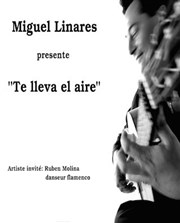 Miguel Linares | Te lleva el aire Thtre du Marais Affiche