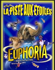 Cirque la piste aux étoiles dans Euphoria | à Gueret Chapiteau  Gueret Affiche