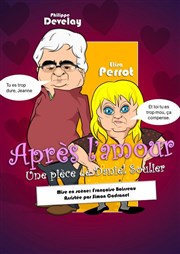 Après l'amour Pixel Avignon - Salle Bayaf Affiche