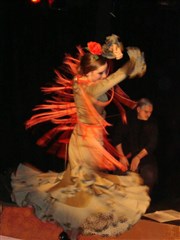 Vuelo flamenco | Les Rendez-vous d'ailleurs Les Rendez-vous d'ailleurs Affiche