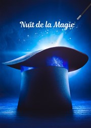 Nuit de la magie Maison pour tous Henri Rouart Affiche
