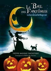 Le bal des fantômes : La sorcière et le magicien | Spécial Halloween Salle Victor Hugo Affiche
