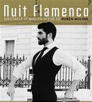 Nuit Flamenco Thtre du Marais Affiche