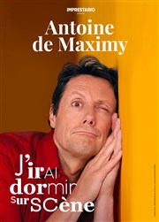 Antoine de Maximy dans J'irai dormir sur scène Thtre Antoine Affiche