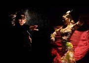 Spectacle Flamenco : Sevilla Le Truc Affiche