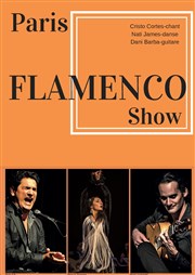 Flamenco Show Song Ja Fltes Affiche