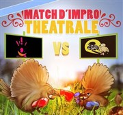Match d'improvisation : Les Drôles de Caille vs Les Z'impromptus Centre d'animation Poterne des Peupliers Affiche