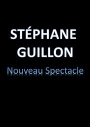 Stéphane Guillon dans C'est merveilleux quand ça se passe bien ! La Nouvelle Comdie Gallien Affiche