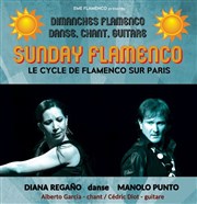Sunday Flamenco Péniche Antipode Affiche